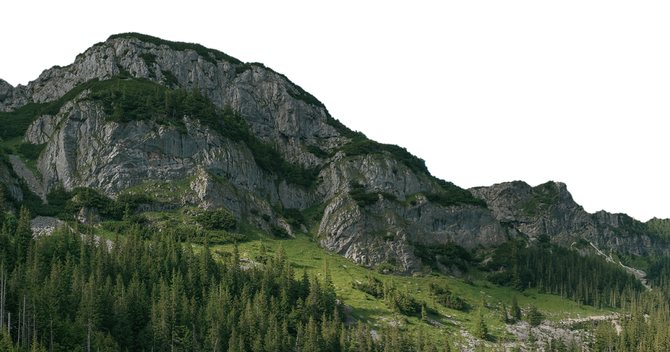 Foremyc – Digital twin e sensori per la tutela delle foreste alpine